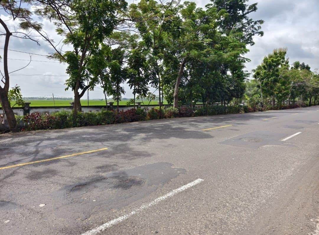 Jalur 'Tengkorak' Babat–Bojonegoro Darurat, Golkar dan Tokoh Masyarakat Desak Intervensi Pusat